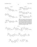 INHIBITORS OF HEPATITIS C VIRUS REPLICATION diagram and image