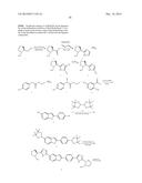 INHIBITORS OF HEPATITIS C VIRUS REPLICATION diagram and image