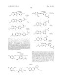 INHIBITORS OF HEPATITIS C VIRUS REPLICATION diagram and image