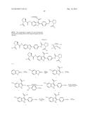 INHIBITORS OF HEPATITIS C VIRUS REPLICATION diagram and image