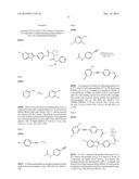 INHIBITORS OF HEPATITIS C VIRUS REPLICATION diagram and image