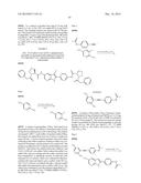 INHIBITORS OF HEPATITIS C VIRUS REPLICATION diagram and image