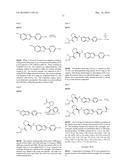 INHIBITORS OF HEPATITIS C VIRUS REPLICATION diagram and image