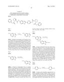 INHIBITORS OF HEPATITIS C VIRUS REPLICATION diagram and image