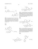 INHIBITORS OF HEPATITIS C VIRUS REPLICATION diagram and image