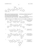 INHIBITORS OF HEPATITIS C VIRUS REPLICATION diagram and image