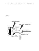 NOVEL PEPTIDES AND METHODS AND USES THEREOF FOR PREVENTING RETINAL     DISORDERS diagram and image