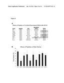 NOVEL PEPTIDES AND METHODS AND USES THEREOF FOR PREVENTING RETINAL     DISORDERS diagram and image