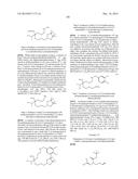 INHIBITORS OF ARGINASE AND THEIR THERAPEUTIC APPLICATIONS diagram and image