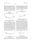 INHIBITORS OF ARGINASE AND THEIR THERAPEUTIC APPLICATIONS diagram and image