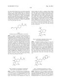 INHIBITORS OF ARGINASE AND THEIR THERAPEUTIC APPLICATIONS diagram and image