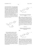 INHIBITORS OF ARGINASE AND THEIR THERAPEUTIC APPLICATIONS diagram and image