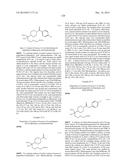 INHIBITORS OF ARGINASE AND THEIR THERAPEUTIC APPLICATIONS diagram and image