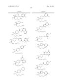 INHIBITORS OF ARGINASE AND THEIR THERAPEUTIC APPLICATIONS diagram and image