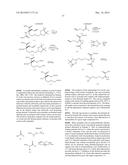 INHIBITORS OF ARGINASE AND THEIR THERAPEUTIC APPLICATIONS diagram and image