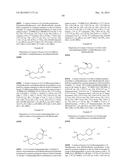 INHIBITORS OF ARGINASE AND THEIR THERAPEUTIC APPLICATIONS diagram and image