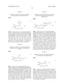 INHIBITORS OF ARGINASE AND THEIR THERAPEUTIC APPLICATIONS diagram and image