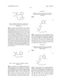 INHIBITORS OF ARGINASE AND THEIR THERAPEUTIC APPLICATIONS diagram and image