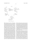 BACE INHIBITORS diagram and image