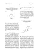 BACE INHIBITORS diagram and image