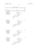 BACE INHIBITORS diagram and image