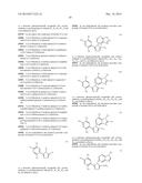 TRIAZOLE COMPOUNDS THAT MODULATE HSP90 ACTIVITY diagram and image