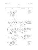 TRIAZOLE COMPOUNDS THAT MODULATE HSP90 ACTIVITY diagram and image