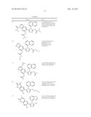 TRIAZOLE COMPOUNDS THAT MODULATE HSP90 ACTIVITY diagram and image