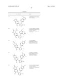 TRIAZOLE COMPOUNDS THAT MODULATE HSP90 ACTIVITY diagram and image