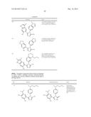 TRIAZOLE COMPOUNDS THAT MODULATE HSP90 ACTIVITY diagram and image