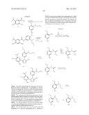 TRIAZOLE COMPOUNDS THAT MODULATE HSP90 ACTIVITY diagram and image