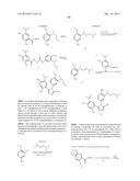 TRIAZOLE COMPOUNDS THAT MODULATE HSP90 ACTIVITY diagram and image