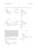 TRIAZOLE COMPOUNDS THAT MODULATE HSP90 ACTIVITY diagram and image