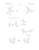 TRIAZOLE COMPOUNDS THAT MODULATE HSP90 ACTIVITY diagram and image