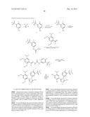 TRIAZOLE COMPOUNDS THAT MODULATE HSP90 ACTIVITY diagram and image