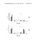 p19Arf, HMGA2 and MDM2 For Use in the Diagnosis and Treatment of Aberrant     Cell Growth diagram and image