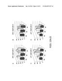 p19Arf, HMGA2 and MDM2 For Use in the Diagnosis and Treatment of Aberrant     Cell Growth diagram and image