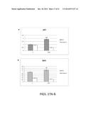 p19Arf, HMGA2 and MDM2 For Use in the Diagnosis and Treatment of Aberrant     Cell Growth diagram and image