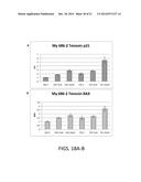 p19Arf, HMGA2 and MDM2 For Use in the Diagnosis and Treatment of Aberrant     Cell Growth diagram and image