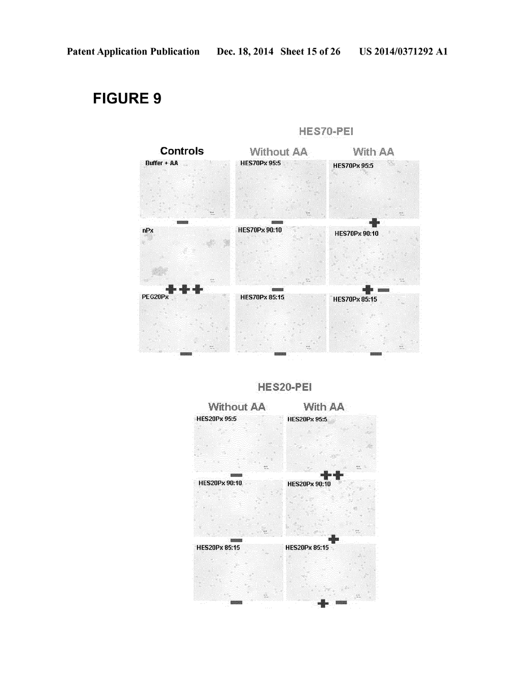 Method for the controlled intracellular delivery of nucleic acids - diagram, schematic, and image 16