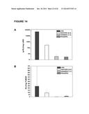 Method for the controlled intracellular delivery of nucleic acids diagram and image