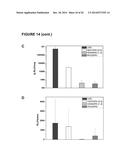 Method for the controlled intracellular delivery of nucleic acids diagram and image