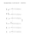 Amine Cationic Lipids and Uses Thereof diagram and image