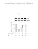 SIRT 1 ACTIVATOR INCLUDING SYRINGARESINOL diagram and image