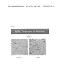 NITISINONE FOR TREATMENT OF OCULOCUTANEOUS/OCULAR ALBINISM AND FOR     INCREASING PIGMENTATION diagram and image