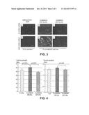 BIOABSORBABLE BLEND FOR TEMPORARY SCAFFOLDING OF THE BLOOD VESSEL WALL diagram and image