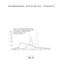 IgG2 DISULFIDE ISOFORM SEPARATION diagram and image