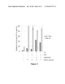 PRODUCTION OF DIHYDROSTERCULIC ACID AND DERIVATIVES THEREOF diagram and image