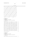 PRODUCTION OF DIHYDROSTERCULIC ACID AND DERIVATIVES THEREOF diagram and image