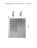 DIARYLALKANES AS POTENT INHIBITORS OF BINUCLEAR ENZYMES diagram and image